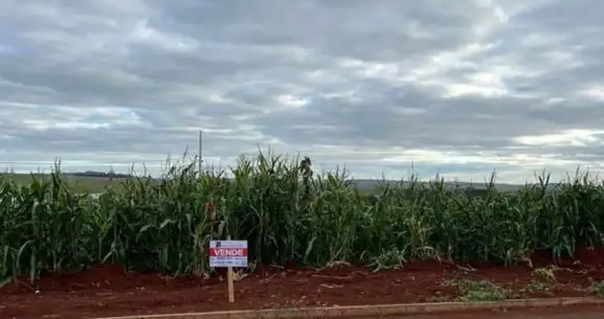 Terreno à venda na Marasca, Centro, Missal