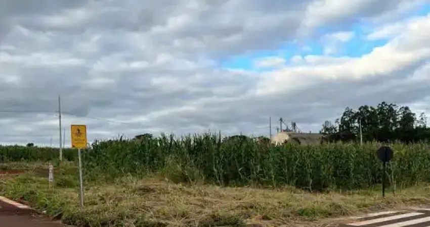 Terreno à venda na Marasca, Centro, Missal