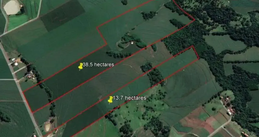 Chácara / sítio à venda na Indefinido, Centro, Marechal Cândido Rondon