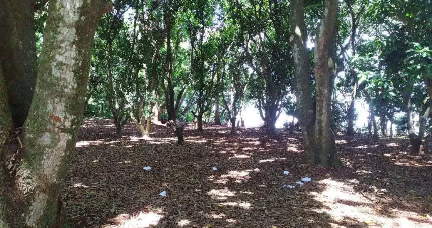 Chácara / sítio com 2 quartos à venda na Indefinido, Santa Cruz do Ocoí, São Miguel do Iguaçu