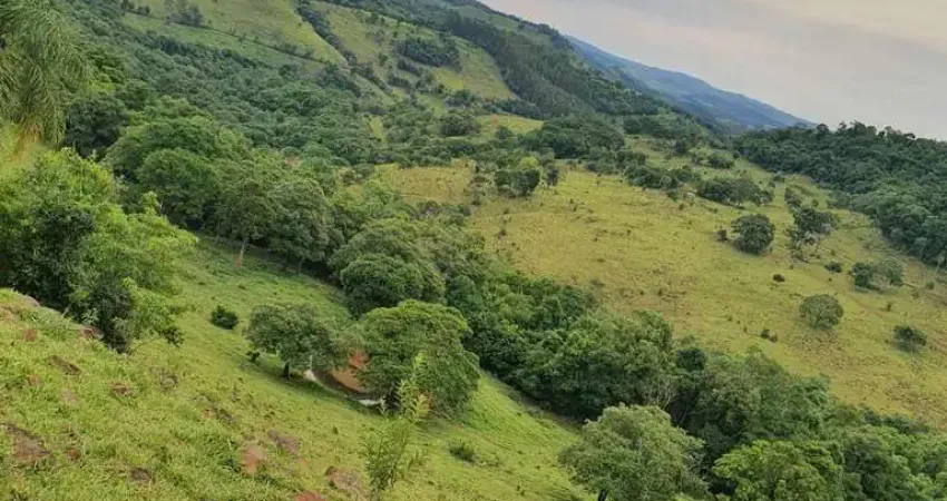 Chácara / sítio à venda na Indefinido, Centro, Quedas do Iguaçu