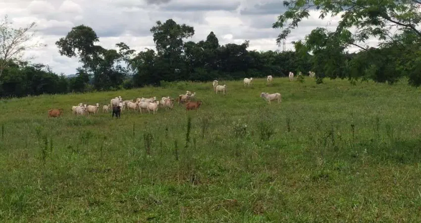 Chácara / sítio à venda na Indefinido, Centro, Cáceres