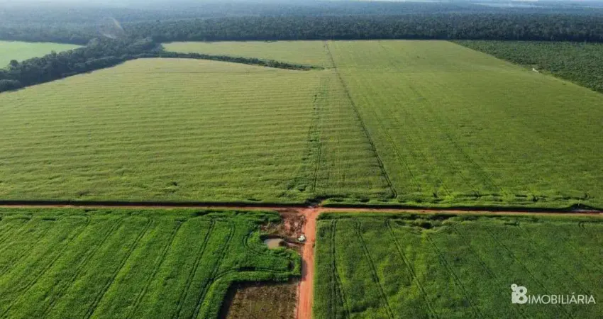 Chácara / sítio à venda na Indefinido, Centro, Sinop