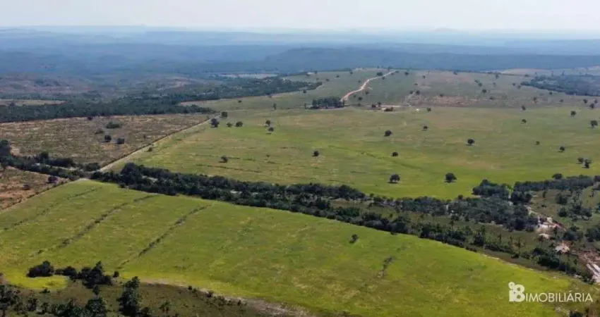 Chácara / sítio à venda na Indefinido, Setor Central, Arraias