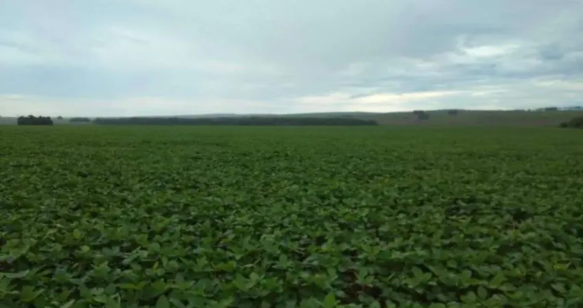 Chácara / sítio à venda na Indefinido, Centro, Porto Seguro