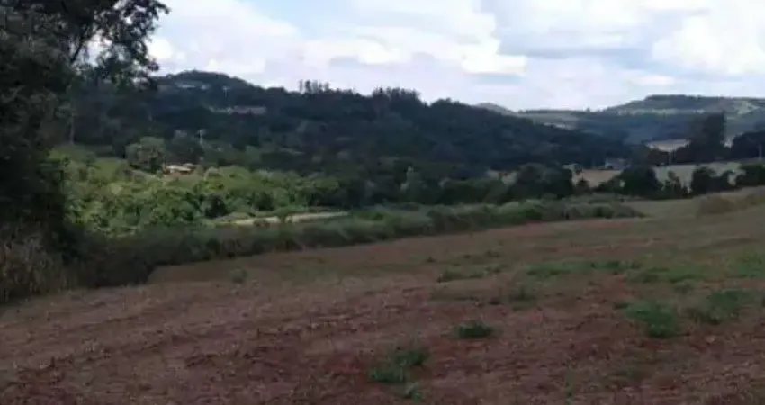 Chácara / sítio à venda na Indefinido, Centro, Missal