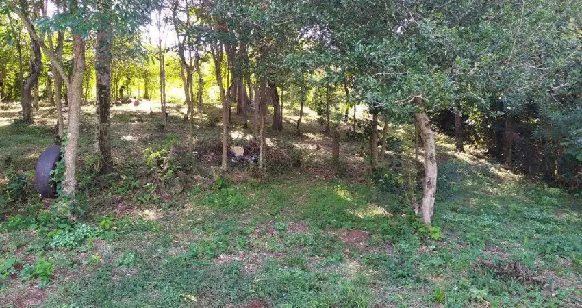 Chácara / sítio à venda na Centro, Centro, São Miguel do Iguaçu