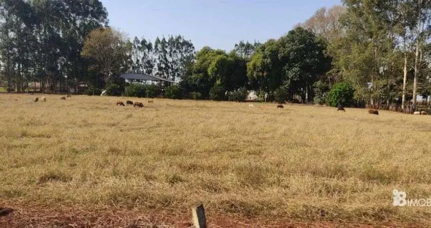 Chácara / sítio à venda na CENTRO, Centro, Laguna Carapã