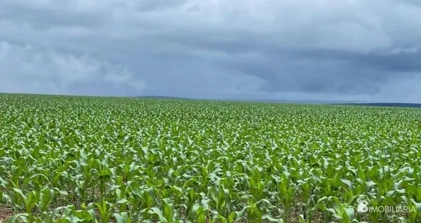 Chácara / sítio à venda na CENTRO, Centro, Nobres