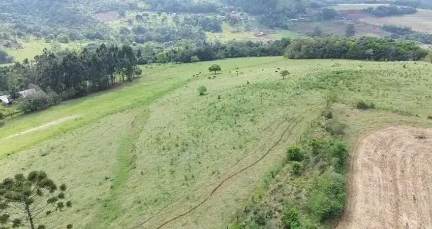 Chácara / sítio à venda na CENTRO, Centro, Santa Tereza do Oeste