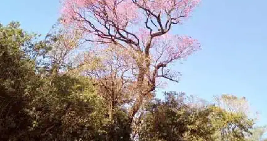 Chácara / sítio à venda na BALNEÁRIO IPIRANGA, Balneário Ipiranga, São Miguel do Iguaçu