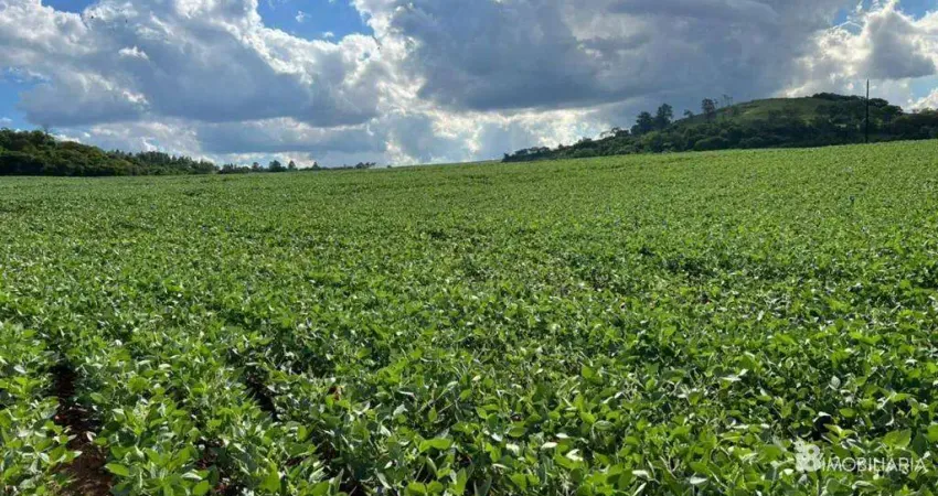 Chácara / sítio à venda na CENTRO, Centro, Santa Tereza do Oeste
