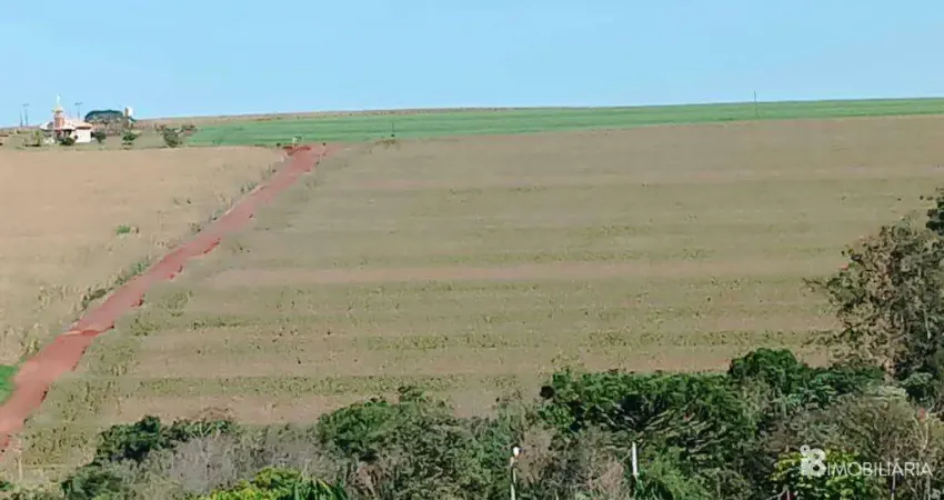 Chácara / sítio à venda na CENTRO, Centro, Cafelândia