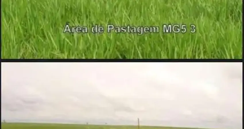 Chácara / sítio à venda na CENTRO, Setor Central, Araguaína