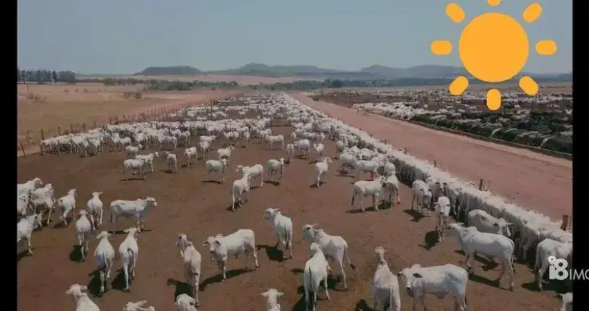Chácara / sítio à venda na CENTRO, Centro, Palmas
