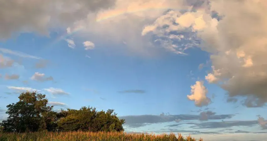 Chácara / sítio à venda na CENTRO, Centro, Goiás
