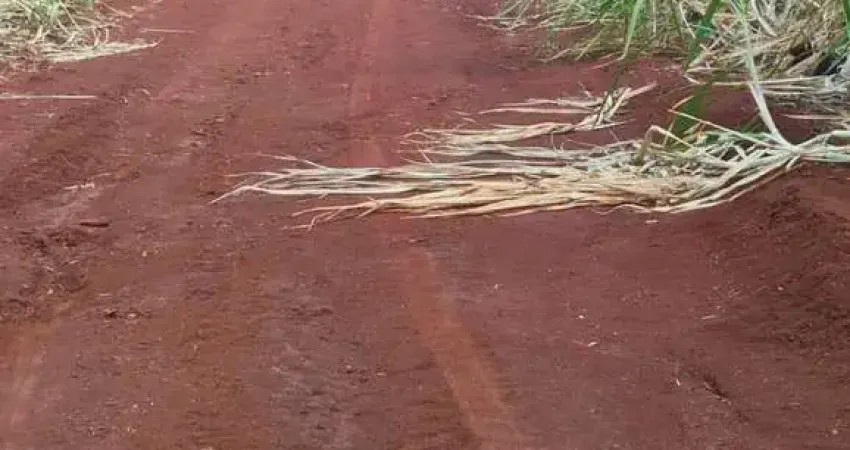 Chácara / sítio à venda na CENTRO, Centro, Umuarama