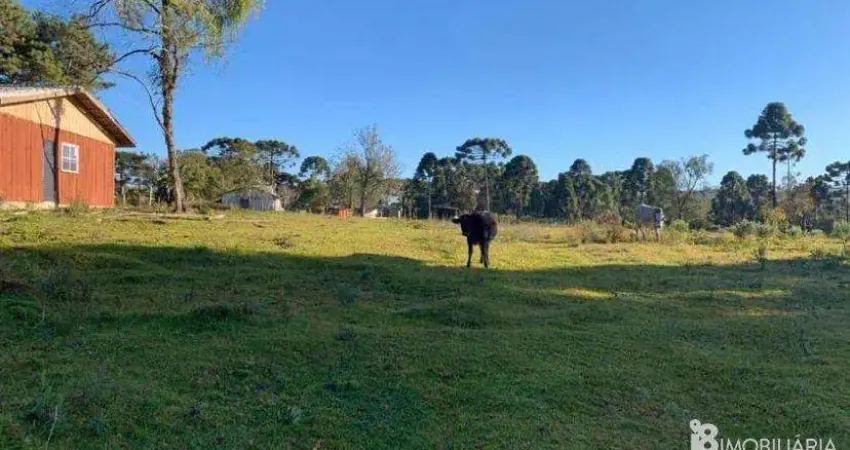 Chácara / sítio à venda na CENTRO, Centro, Guarapuava