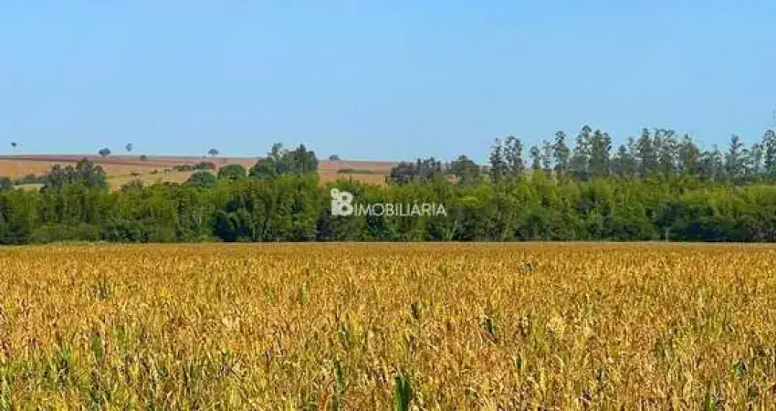 Chácara / sítio à venda na Indefinido, Centro, Francisco Alves