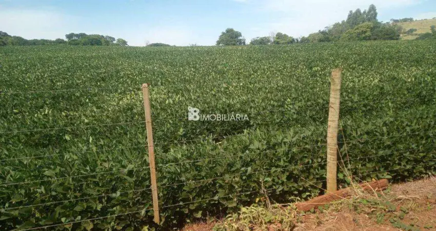 Chácara / sítio à venda na Indefinido, Centro, Lindoeste