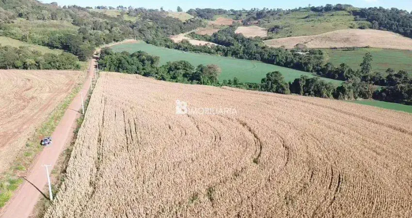 Fazenda à venda na CENTRO, Centro, Santa Tereza do Oeste