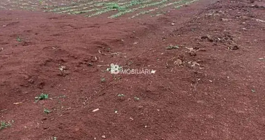 Chácara / sítio à venda na comunidade sao jorge, São Jorge, São Miguel do Iguaçu