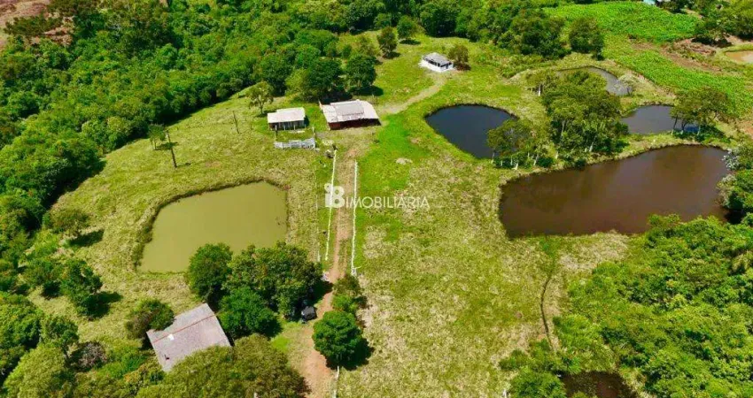 Fazenda à venda na Área rural, Centro, Guaraniaçu