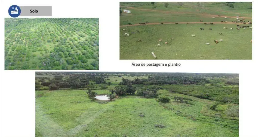 Chácara / sítio à venda no Centro, Aroazes