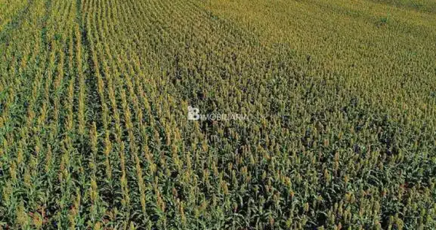 Chácara / sítio à venda na CENTRO, Centro, Cascavel