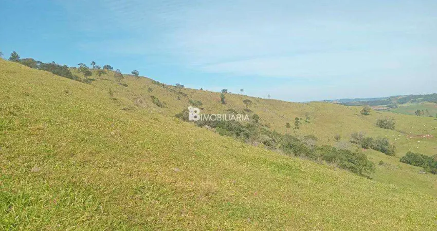 Chácara / sítio à venda na Indefinido, Centro, Laranjeiras do Sul