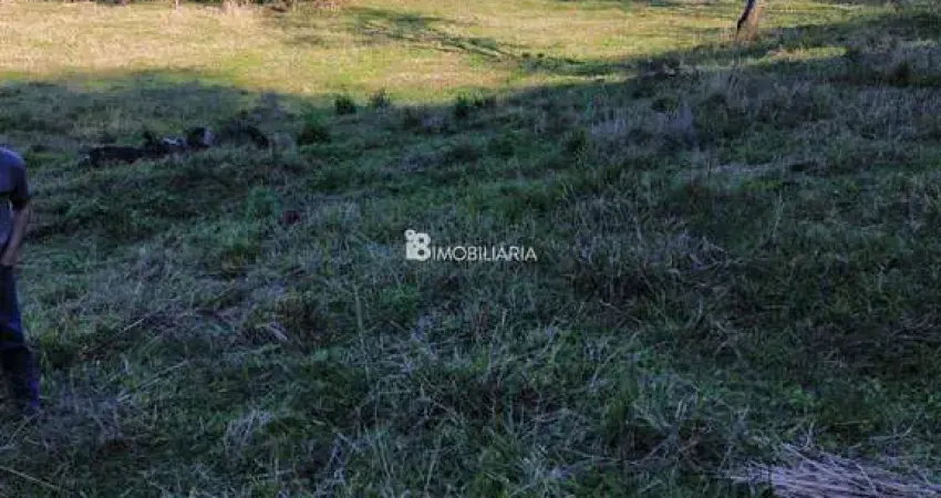 Chácara / sítio à venda na Indefinido, Centro, Santa Tereza do Oeste