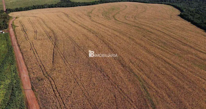 Chácara / sítio à venda na Indefinido, Centro, Santa Tereza do Oeste