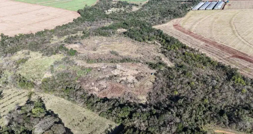 Chácara / sítio à venda na Indefinido, Centro, São Miguel do Iguaçu