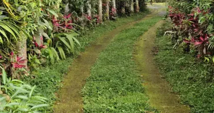 Sitio em embu guaçu, com dois lago para pesca, piscina e uma ampla área verde com muito ar puro.