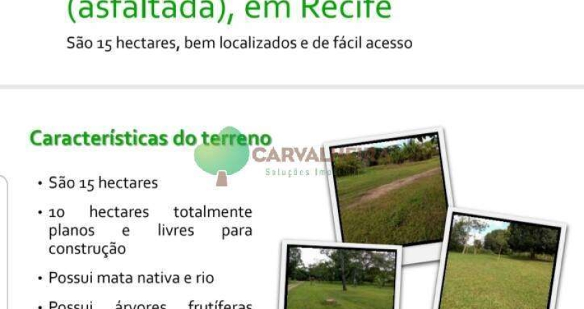 TERRENO A VENDA NA PE-16 -