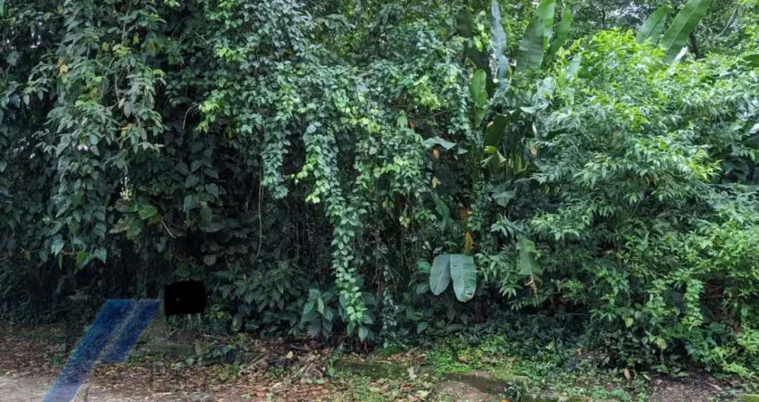 Ubatuba, Itamambuca - Lote com 530,00 mts2, escritura definitiva, em processo deliberação ambiental em condomínio segurança 24 hs.