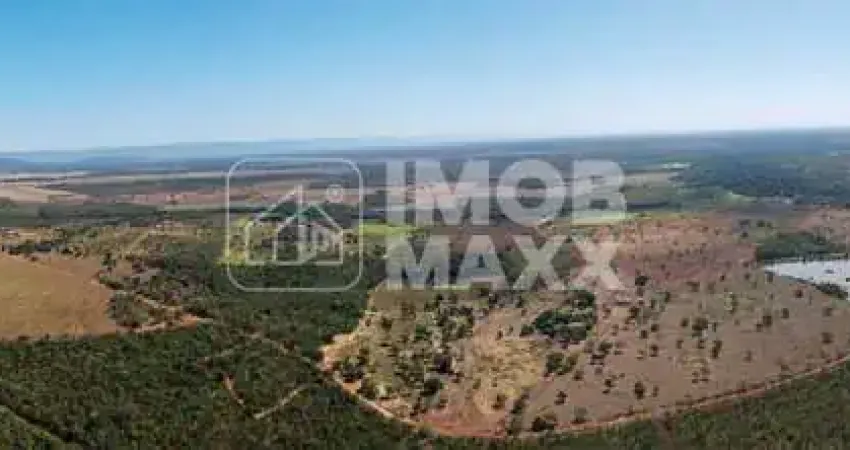 Fazenda a venda em Formosa: 281 hectares, água perene, dupla aptidão - escriturada e registrada.