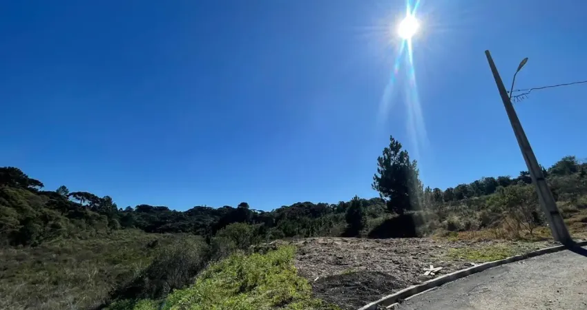 Terreno de esquina aterrado em loteamento novo – campina grande do sul