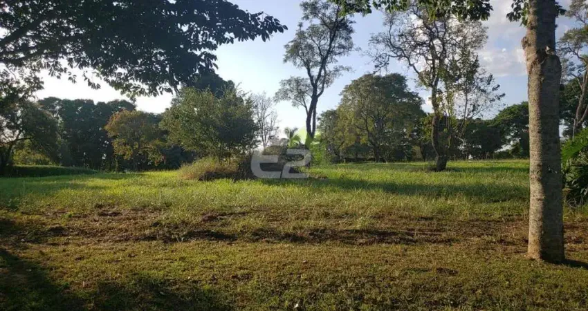 Terreno amplo e bem localizado na Vila Pinhal, Itirapina - Oportunidade imperdivel