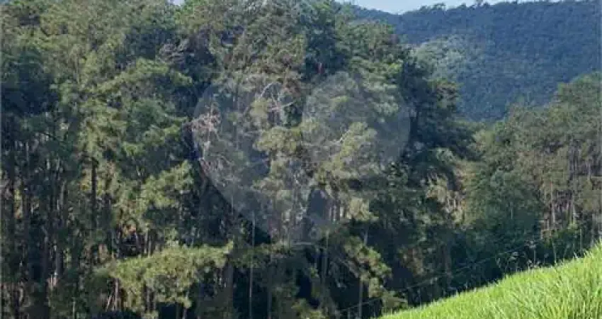 Terreno à venda na Nova Penedo, Penedo, Itatiaia