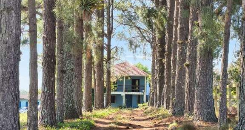 vende-se belissimo sitio na Estacia  Grande em viamao