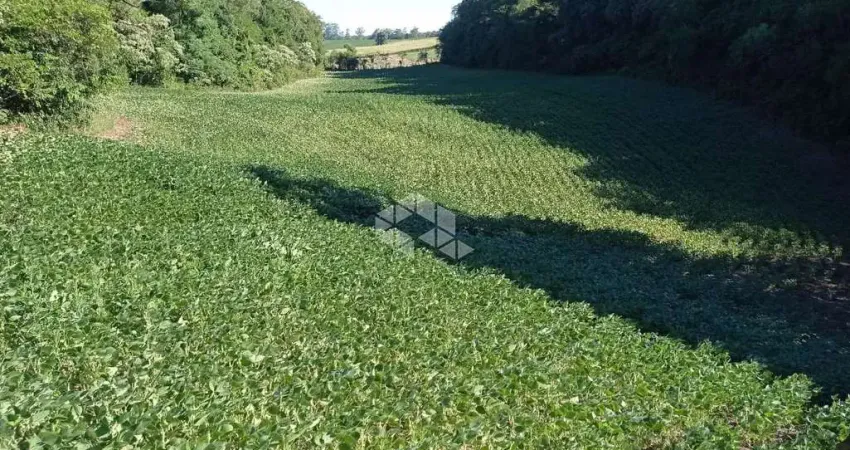 Chácara / sítio à venda na Rua Venâncio Ribas, 1, Parque Serrano, Itaara