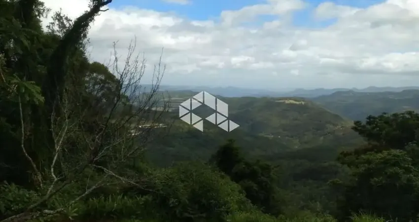 Sitio com 8,7 hectares, em gramado - linda vista do vale do quilombo