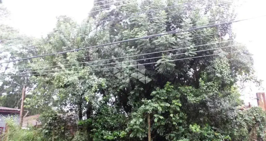 Terreno à venda na Rua Amapá, 856, Vila Nova, Porto Alegre