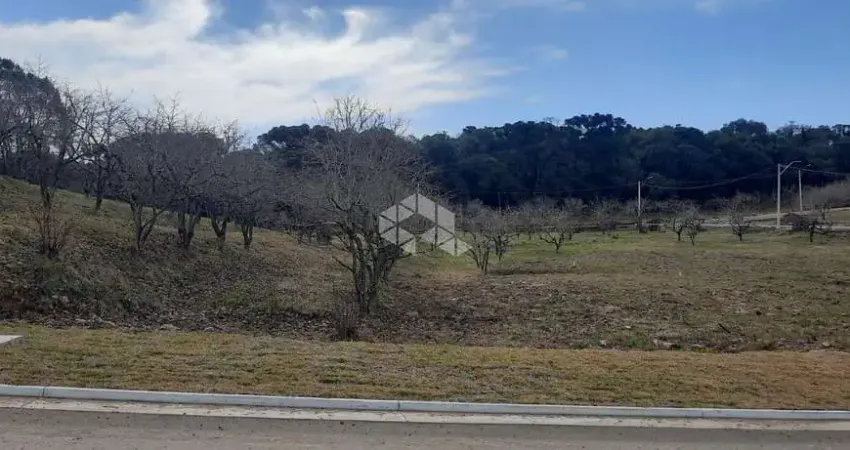 Terreno com 800m² próximo ao Centro de Gramado, a 9 minutos da Rua Coberta