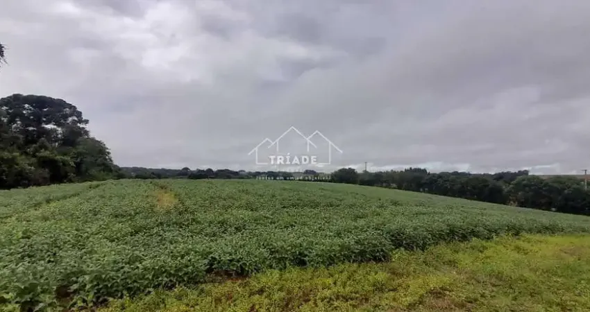 Terreno à venda na Rua Cornélio Procópio, Lagoa das Almas, Contenda