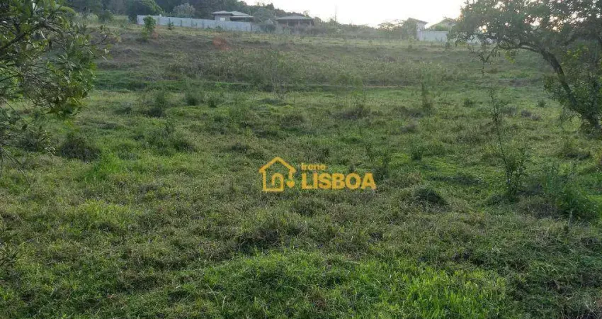 Chácara com 2 dormitórios à venda, 3000 m² por R$ 250.000,00 - Atibaia Vista da Montanha - Atibaia/SP