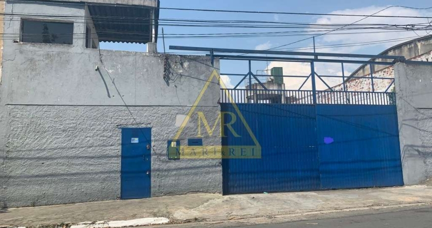 Terreno comercial para alugar na Rua Charles Darwin, 363, Vila Santa Catarina, São Paulo
