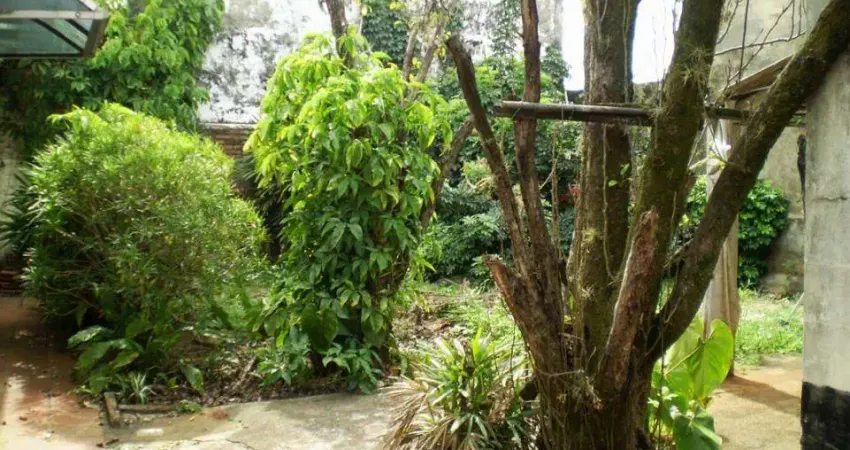 Venda - Casa - Centro - Santa Bárbara D'Oeste - SP
