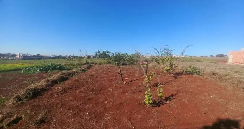 Venda - Terreno - Jardim Itapuã - Santa Bárbara D'Oeste - SP